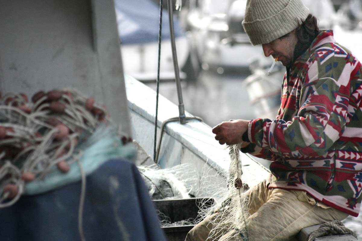 El pescado nuestro de cada día